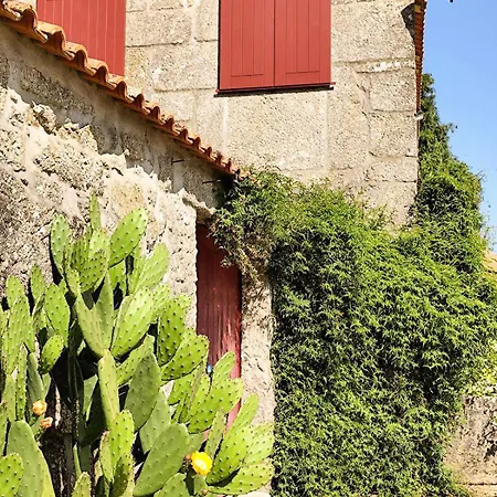Casa de Férias Quinta De Travanca - Casa Da Eira Baião